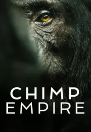 ดูหนังออนไลน์ CHIMP EMPIRE: อาณาจักรชิมแปนซี (2023) NETFLIX